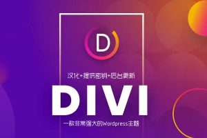 Divi Theme v4.14.8 – 非常热门的一款可做各类型网站的WordPress主题