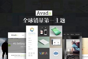 Avada V7.6.1 汉化主题 含密钥可自己后台更新 | 主题插件均汉化 