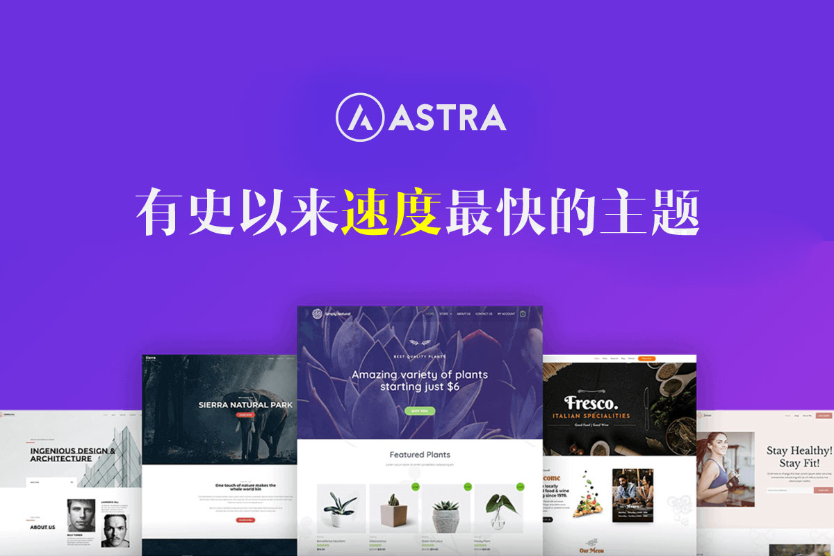 Astra V2.3.3 – 有史以来速度最快的WordPress主题