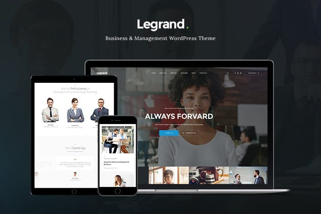 LeGrand-多功能商务WP主题