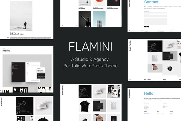 Flamini-工作室 / 代理机构 WordPress主题