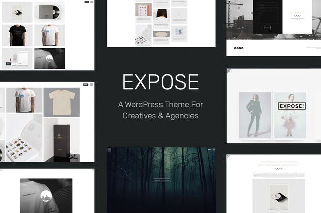 EXPOSE-创意＆自由职业 WordPress主题