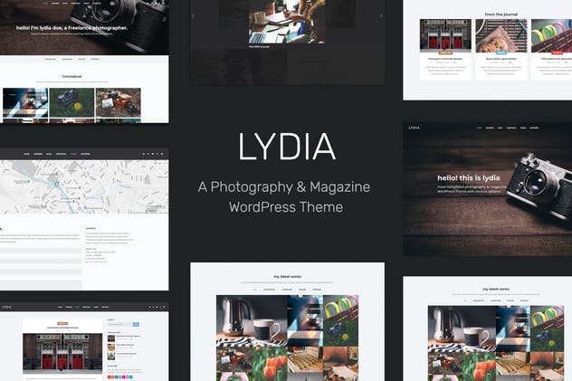 Lydia-摄影与杂志WordPress主题 - 口袋资源