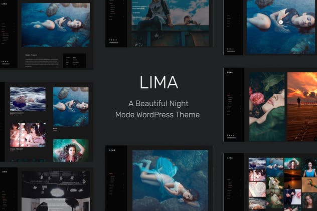 Lima-Elementor的夜间模式WordPress主题 - 口袋资源