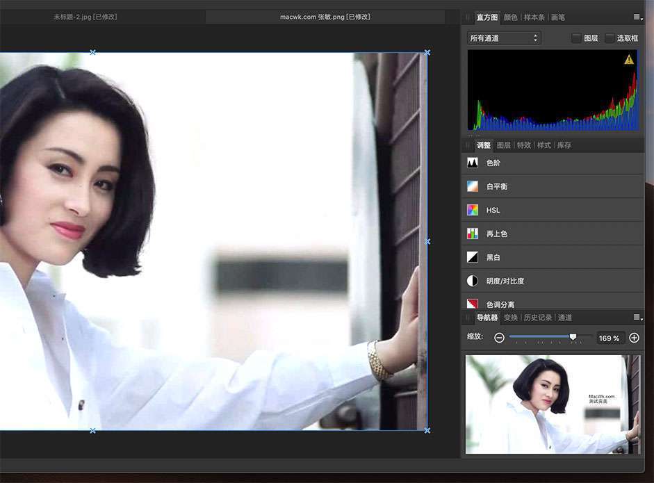 Affinity Photo For Mac 2022 v1.10.5 中文破解版 (专业级修图软件) - 口袋资源