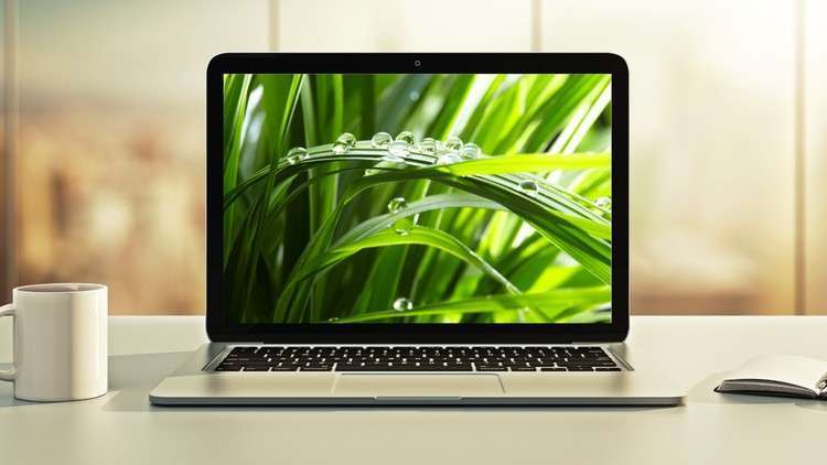 udemy教程 | [NEW] Spring Boot 3, Spring 6 & Hibernate for Beginners