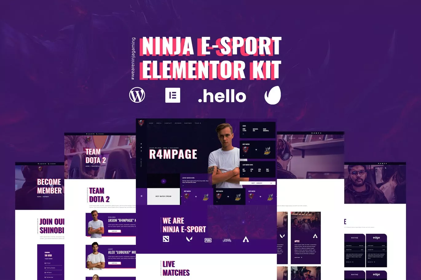 Ninja -电竞和游戏Elementor Template Kit