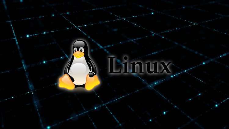 【Udemy中英字幕】Complete Linux Training Course to Get Your Dream IT Job 2023