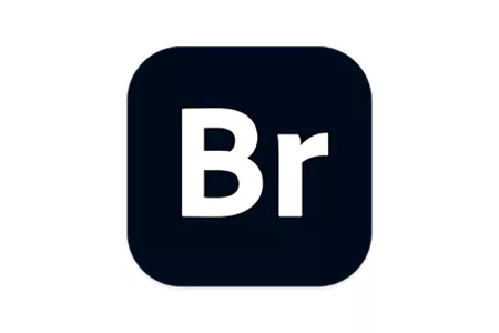 Adobe Bridge 2022 中文直装破解版 (多媒体文件组织管理工具) 