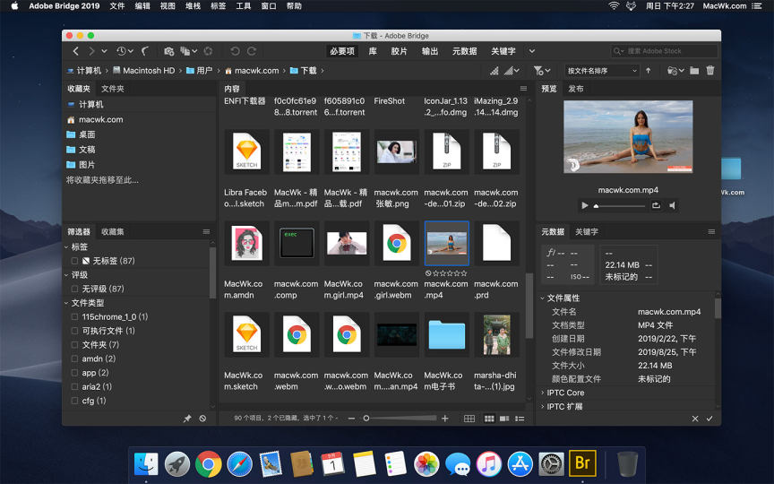 Adobe Bridge for Mac 2021 v11.1.1 中文直装破解版