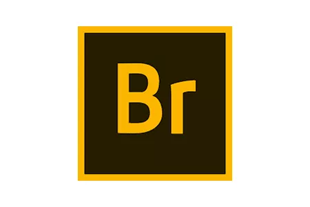 Adobe Bridge for Mac 2021 v11.1.1 中文直装破解版 (多媒体文件组织管理工具) 