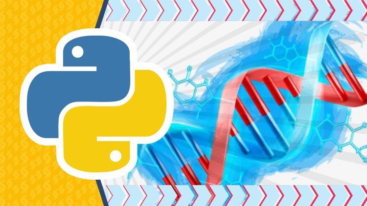 【Udemy中英字幕】The Ultimate Beginners Guide to Genetic Algorithms In Python