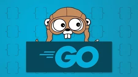 【Academind中英字幕】Getting Started With Golang