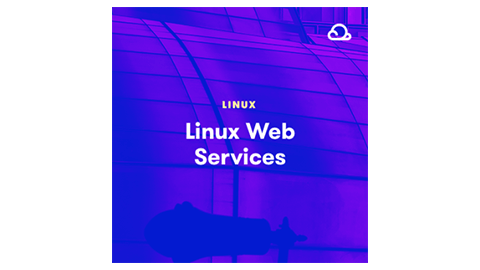 【A Cloud Guru中英字幕】Linux Web Services