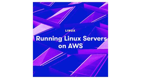 【A Cloud Guru中英字幕】Running Linux Servers on AWS