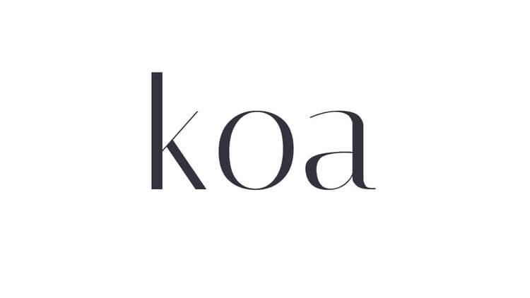 【Udemy中英字幕】Node.Js: Learning Koa.Js By Building REST APIs