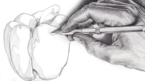 【Udemy中英字幕】Fundamentals of Drawing Anything – Shading, pencils, more
