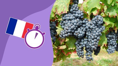【Udemy中英字幕】3 Minute French – Course 11 | Language lessons for beginners