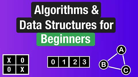 【Neetcode中英字幕】Algorithms and Data Structures for Beginners