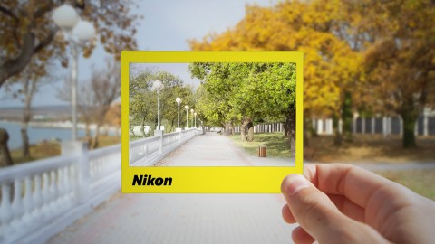 【Udemy中英字幕】Beginner Nikon Digital SLR (DSLR) Photography