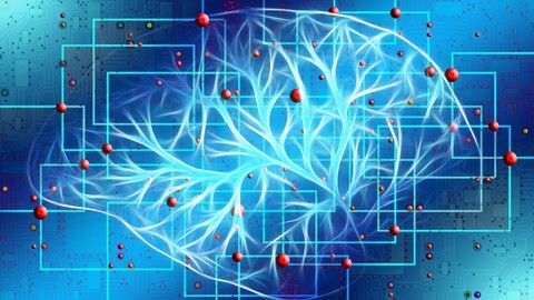 【Udemy中英字幕】Curiosity Driven Deep Reinforcement Learning