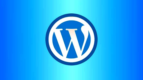 【Udemy中英字幕】WordPress 2023: The Complete WordPress Website Dev Course