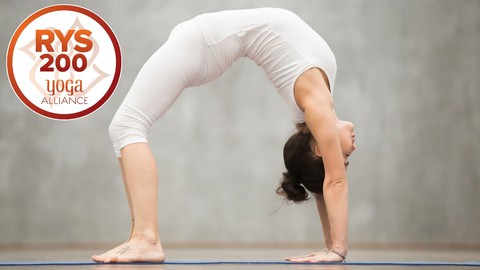 【Udemy中英字幕】200 Hours Yoga Teacher Training – Part 1 (Yoga Alliance)