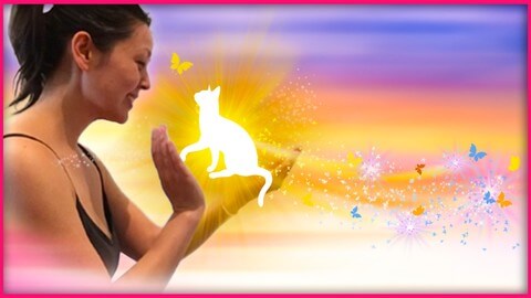 【Udemy中英字幕】Animal & Pet Reiki Energy Healing Certification Course