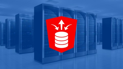 【Udemy中英字幕】RESTful Services in Oracle APEX – The Complete Guide (2024)