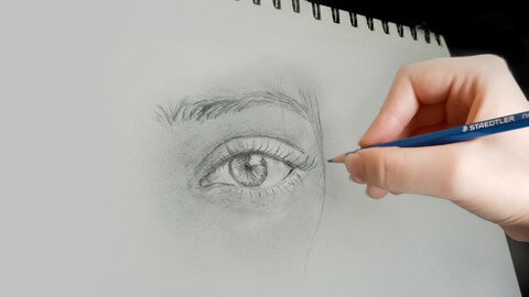 【Udemy中英字幕】Ultimate & Complete Drawing course : Beginner to Advanced!