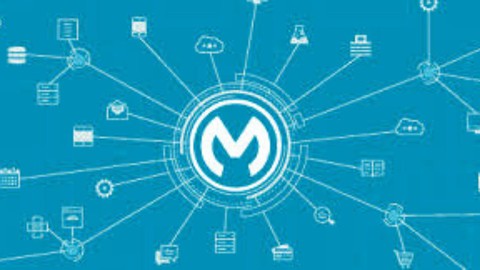 【Udemy中英字幕】MuleSoft 4.X Bootcamp : Comprehensive API Development Guide