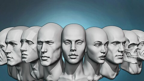 【Udemy中英字幕】Head anatomy and sculpting exercises course