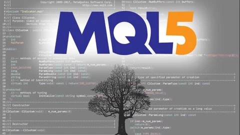 【Udemy中英字幕】MQL5 Advanced: Creating Algorithmic Trading Robots with MQL5