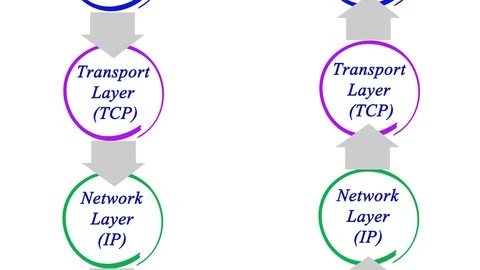 【Udemy中英字幕】TCP/IP Networking Fundamentals
